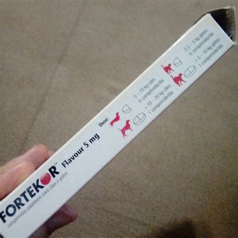 Weterynarium pomocna dłoń dla wszystkich zwierząt - 05