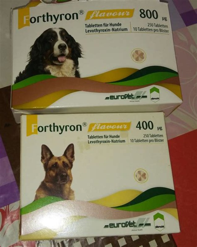 Weterynarium Sklep weterynaryjny online. - 01 Weterynarium Sklep weterynaryjny online. - 01