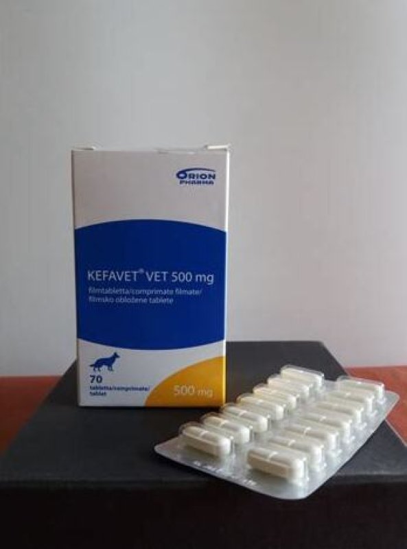 Weterynarium Sklep weterynaryjny online. - 03 Weterynarium Sklep weterynaryjny online. - 03