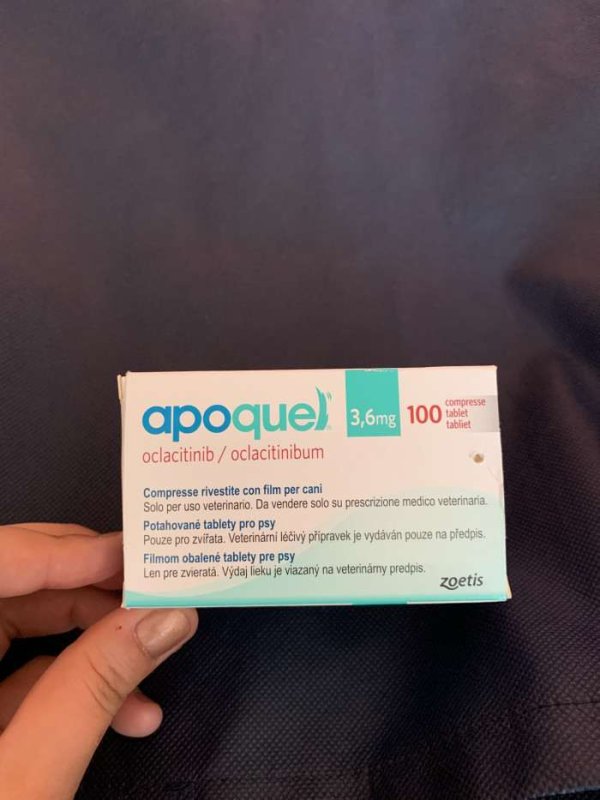 Weterynarium wylecz zwierzęta razem z nami. - 01 Weterynarium wylecz zwierzęta razem z nami. - 01