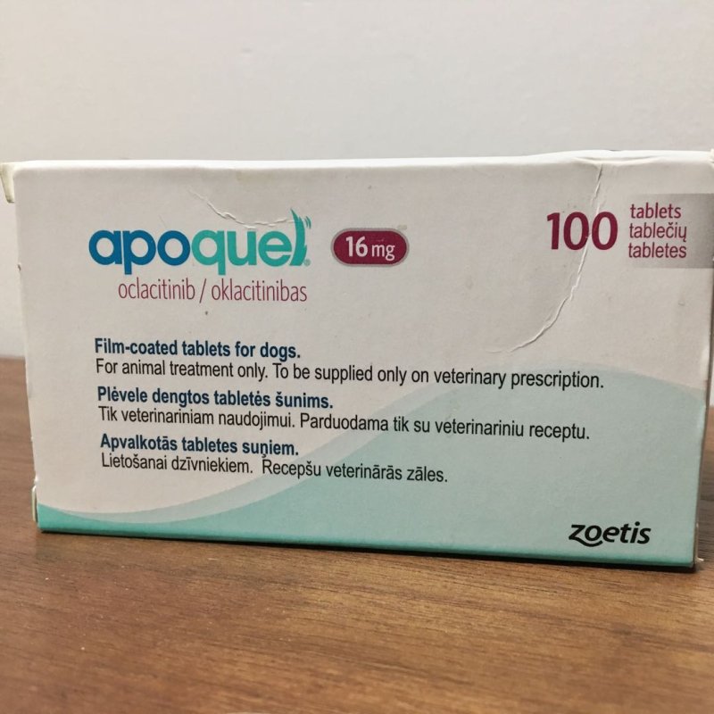 Weterynarium wylecz zwierzęta razem z nami. - 03 Weterynarium wylecz zwierzęta razem z nami. - 03