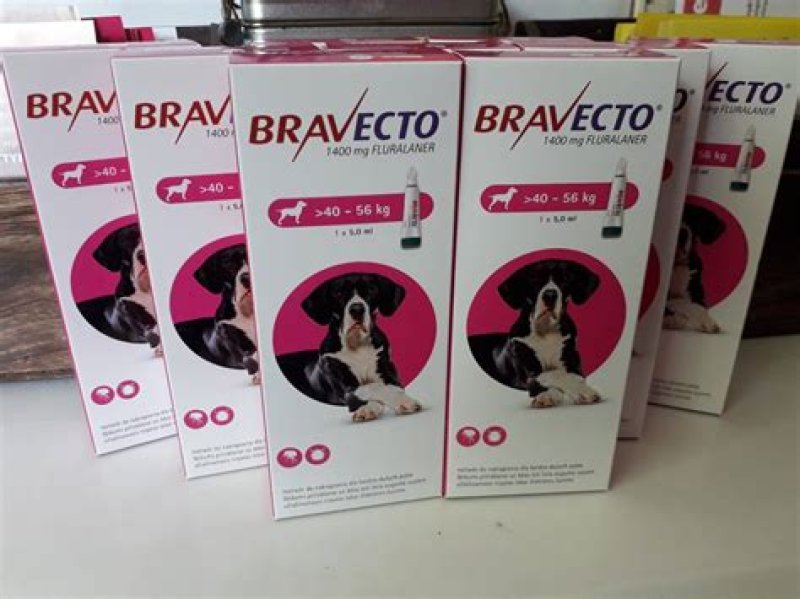 Weterynarium Lekarstwa weterynaryjne dla klientów