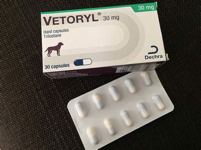 Weterynarium Lekarstwa weterynaryjne dla klientów - 01