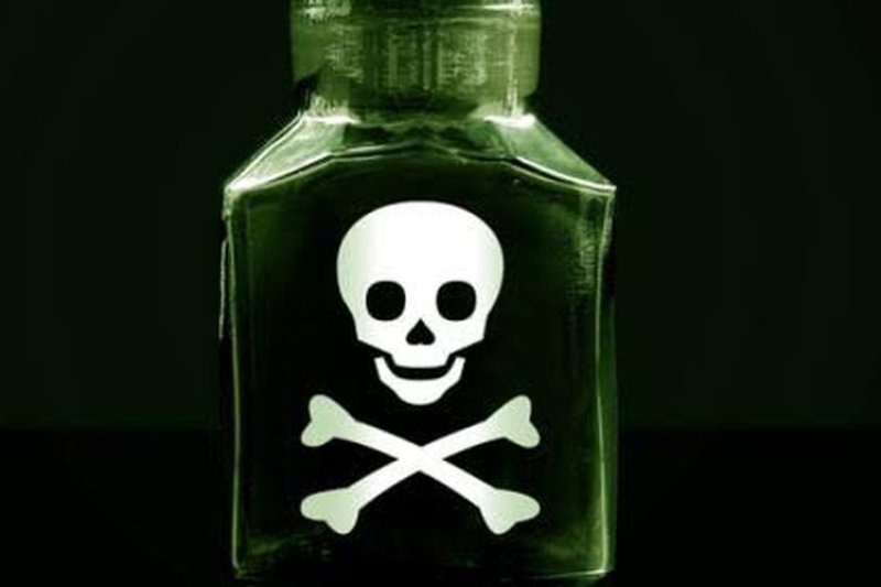 Batrachotoxin Silna Neurotoksytna Steroidowa